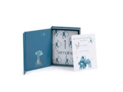 Moulin Roty 669749 - Cartes Mes 12 Premiers Mois Sous Mon Baobab (30 Cartes) -Boutique bébé moulin roty 669749 cartes mes 12 premiers mois sous mon baobab 30 cartes 900 2