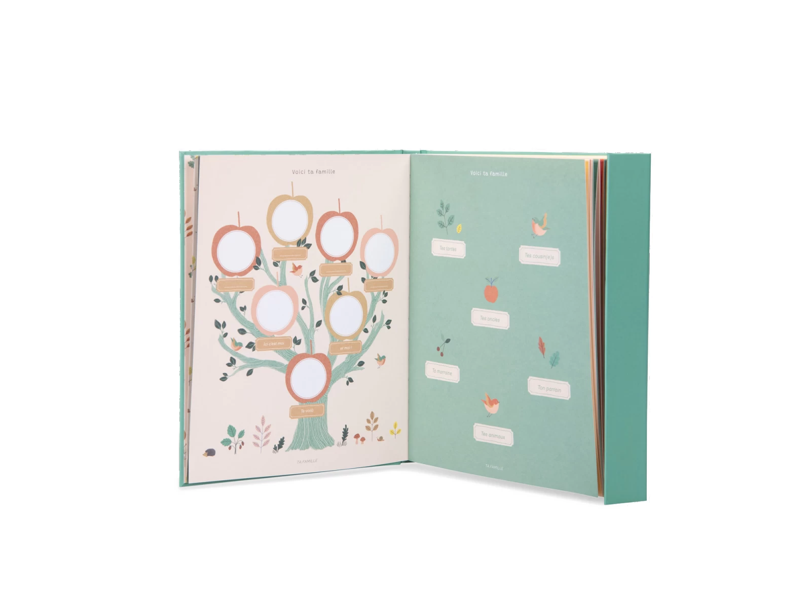 Moulin Roty 675085 - Livre De Naissance Pomme Des Bois (80 Pages) 4 Moulin Roty 675085 - Livre De Naissance Pomme Des Bois (80 Pages) – Image 2