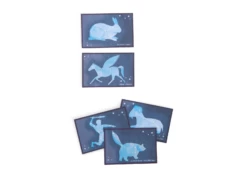 Moulin Roty 712150 - Coffret Découverte De L'Espace Le Jardin Du Moulin -Boutique bébé moulin roty 712150 coffret decouverte de l espace le jardin du moulin 1600 8