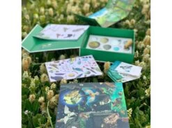 Moulin Roty 712151 - Coffret Découverte Oiseaux Le Jardin Du Moulin -Boutique bébé moulin roty 712151 coffret decouverte oiseaux le jardin du moulin 1400 1