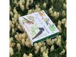 Moulin Roty 712151 - Coffret Découverte Oiseaux Le Jardin Du Moulin -Boutique bébé moulin roty 712151 coffret decouverte oiseaux le jardin du moulin 1400 2