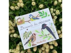 Moulin Roty 712151 - Coffret Découverte Oiseaux Le Jardin Du Moulin -Boutique bébé moulin roty 712151 coffret decouverte oiseaux le jardin du moulin 1400 3