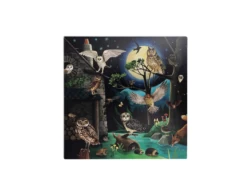 Moulin Roty 712151 - Coffret Découverte Oiseaux Le Jardin Du Moulin -Boutique bébé moulin roty 712151 coffret decouverte oiseaux le jardin du moulin 1600 1