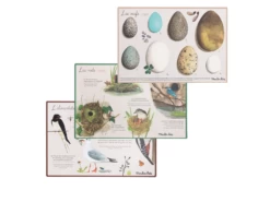 Moulin Roty 712151 - Coffret Découverte Oiseaux Le Jardin Du Moulin -Boutique bébé moulin roty 712151 coffret decouverte oiseaux le jardin du moulin 1600 2