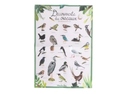 Moulin Roty 712151 - Coffret Découverte Oiseaux Le Jardin Du Moulin -Boutique bébé moulin roty 712151 coffret decouverte oiseaux le jardin du moulin 1600 3