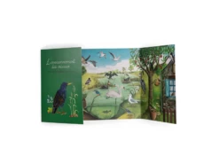 Moulin Roty 712151 - Coffret Découverte Oiseaux Le Jardin Du Moulin -Boutique bébé moulin roty 712151 coffret decouverte oiseaux le jardin du moulin 1600 4