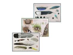 Moulin Roty 712151 - Coffret Découverte Oiseaux Le Jardin Du Moulin -Boutique bébé moulin roty 712151 coffret decouverte oiseaux le jardin du moulin 1600 5