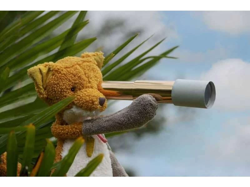 Moulin Roty 714024 - Grand Renard Chaussette Le Voyage D'Olga 6 Moulin Roty 714024 - Grand Renard Chaussette Le Voyage D'Olga – Image 4