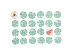 Moulin Roty 719364 - Mémory Des Animaux Tout Autour Du Monde -Boutique bébé moulin roty 719364 memory des animaux tout autour du monde 1600 3