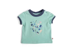 Moulin Roty 719775 - HANSEL Tee-shirt 18m Jersey Flammé Vert Motif Coquillages- 18 Mois