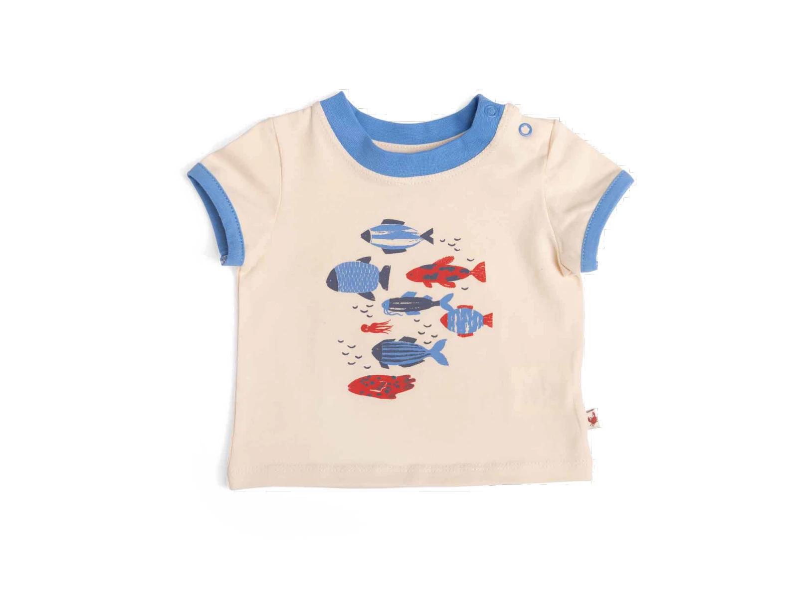 Moulin Roty 719782 - HELIO Tee-shirt 24m Jersey écru Motif Poissons- 24 Mois 3 Moulin Roty 719782 - HELIO Tee-shirt 24m Jersey écru Motif Poissons- 24 Mois