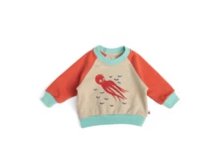 Moulin Roty 719900 - HERCULE Sweat-shirt 18m Molleton Flammé Bicolore Motif Pieuvre- 18 Mois